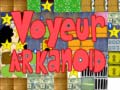 խաղ Voyeur arkanoid