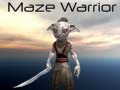 խաղ Maze Warrior