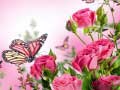 խաղ Butterflies Puzzle