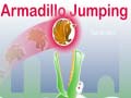 խաղ Armadillo Jumping