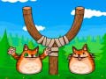 խաղ Shot The Angry Cat