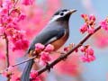 խաղ Lovable Birds