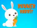 խաղ Runner Rabbit
