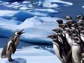 խաղ Penguins Slide