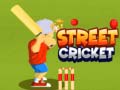 խաղ Street Cricket