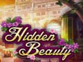 խաղ Hidden Beauty