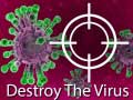 խաղ Destroy The Virus