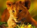 խաղ Wild Baby Animals Jigsaw
