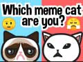 խաղ Which Meme Cat Are You?