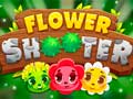 խաղ Flower Shooter