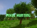 խաղ Pixel Hunting