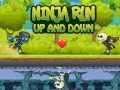 խաղ Ninja Run Up And Down