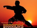 խաղ Karate Sunset Warriors