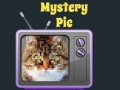 խաղ Mystery Pic