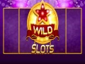 խաղ Wild Slot