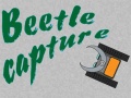խաղ Beetle Capture