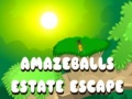 խաղ Amazeballs Estate Escape