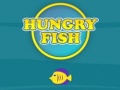 խաղ Hungry Fish