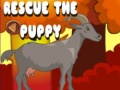 խաղ Rescue The Puppy