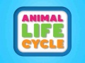 խաղ Animal Life Cycle