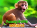 խաղ Funny Baby Monkey