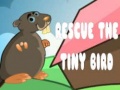խաղ Rescue The Tiny Bird