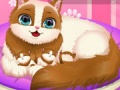 խաղ Cute Kitty Pregnant