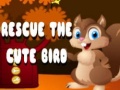 խաղ Rescue The Cute Bird
