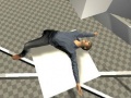 խաղ Ragdoll Test