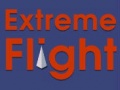 խաղ Extreme Flight