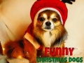 խաղ Funny Christmas Dogs