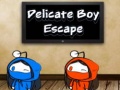 խաղ Delicate Boy Escape