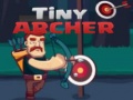 խաղ Tiny Archer
