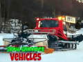 խաղ Snow Groomer Vehicles