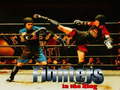 խաղ Fighters in the Ring