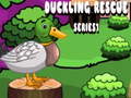 խաղ Duckling Rescue Series1