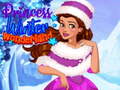 խաղ Princess Winter Wonderland