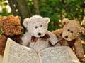 խաղ Cuddly Three Teddy Jigsaw