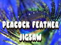 խաղ Peacock Feather Jigsaw