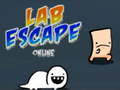 խաղ Lab Escape Online