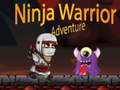 խաղ Ninja Warrior Adventure