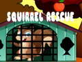 խաղ Squirrel Rescue
