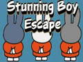 խաղ Stunning Boy Escape