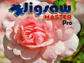 խաղ Jigsaw Master Pro