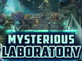 խաղ Mysterious Laboratory