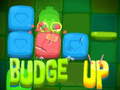 խաղ Budge Up