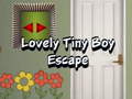 խաղ Lovely Tiny Boy Escape