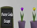 խաղ Doctor Linda Escape