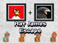 խաղ Hat James Escape