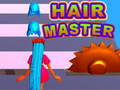 խաղ Hair Master